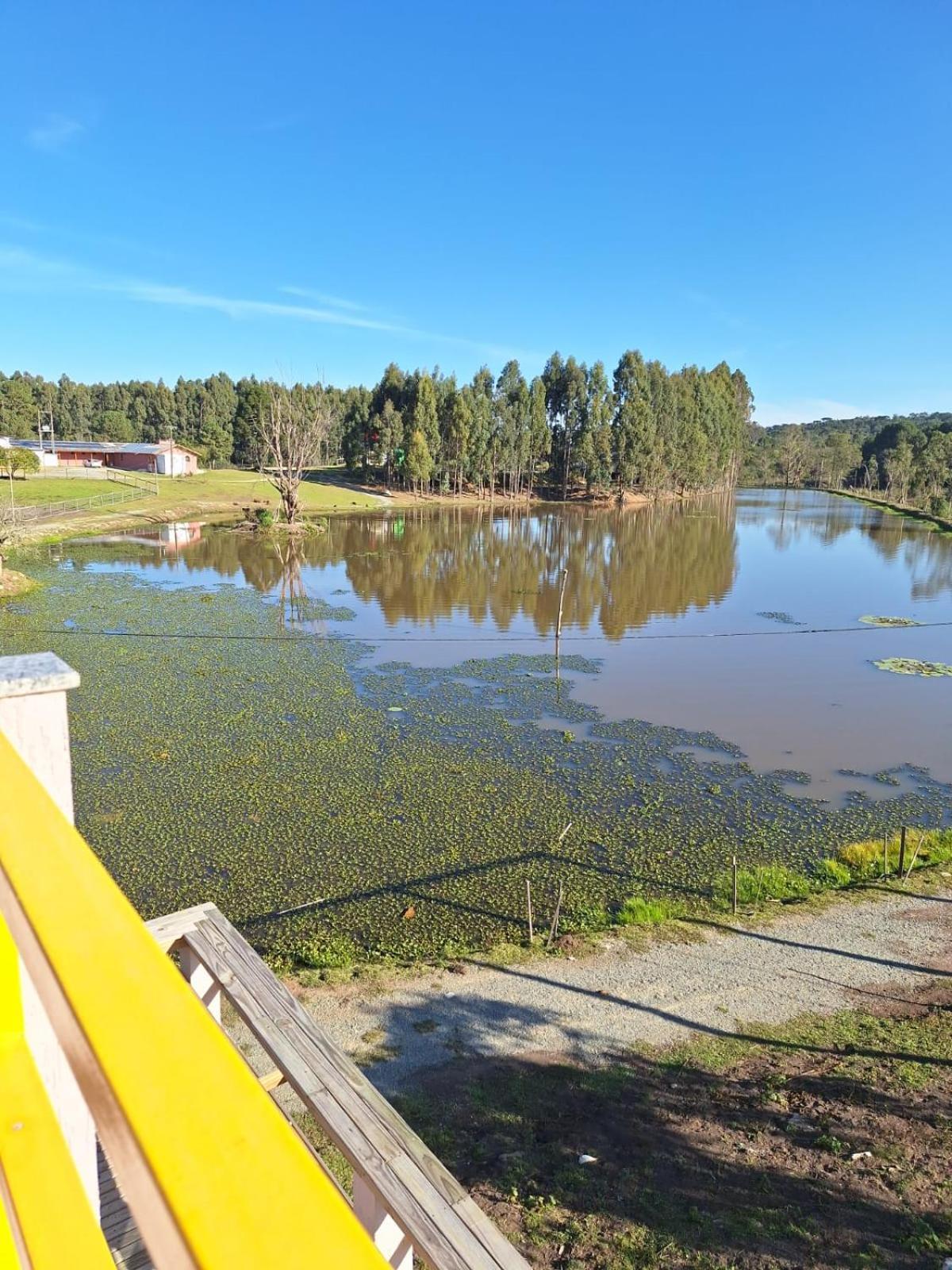 拉热斯Lago Di Venezia别墅 外观 照片